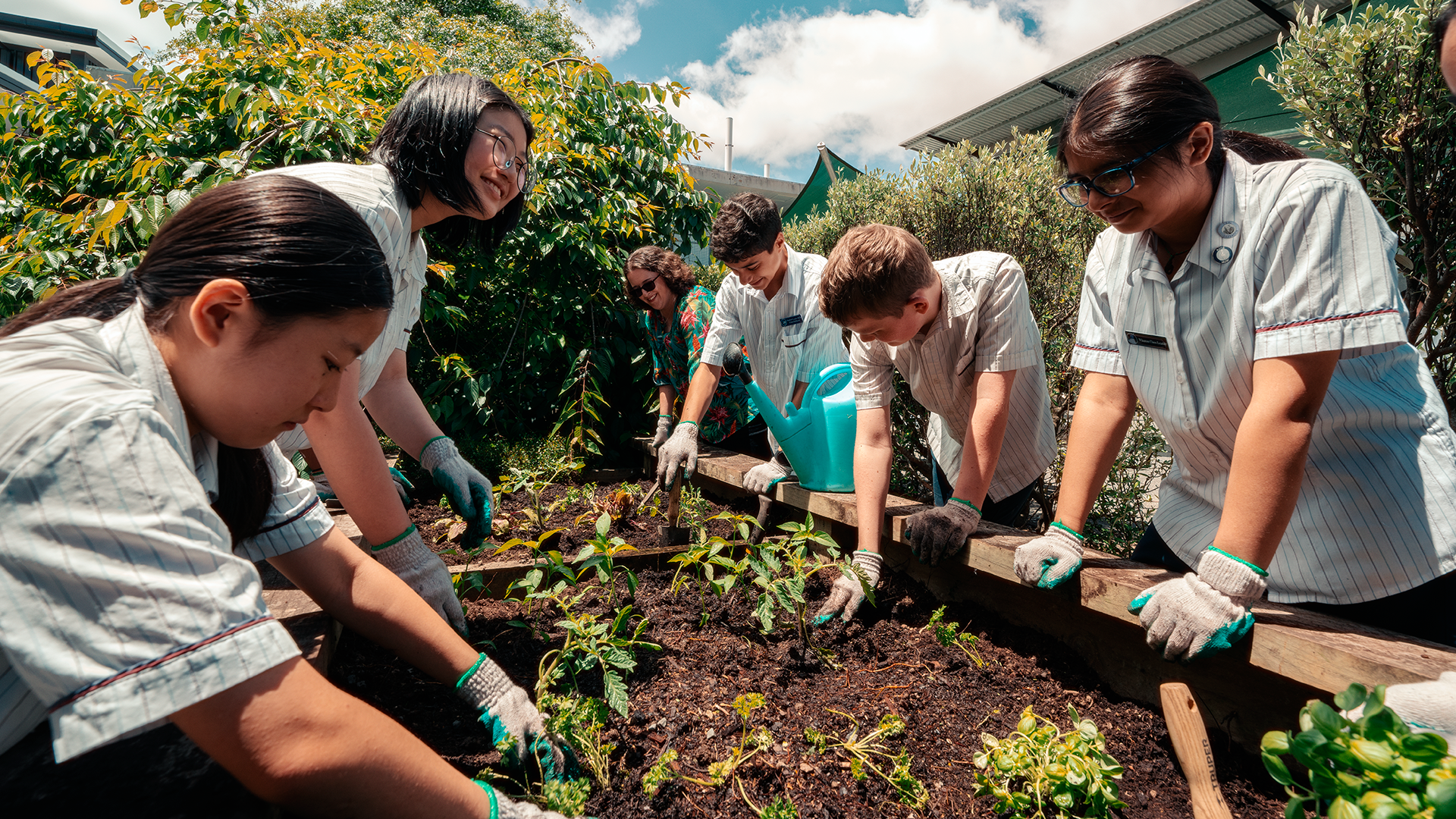 Albany Junior High School