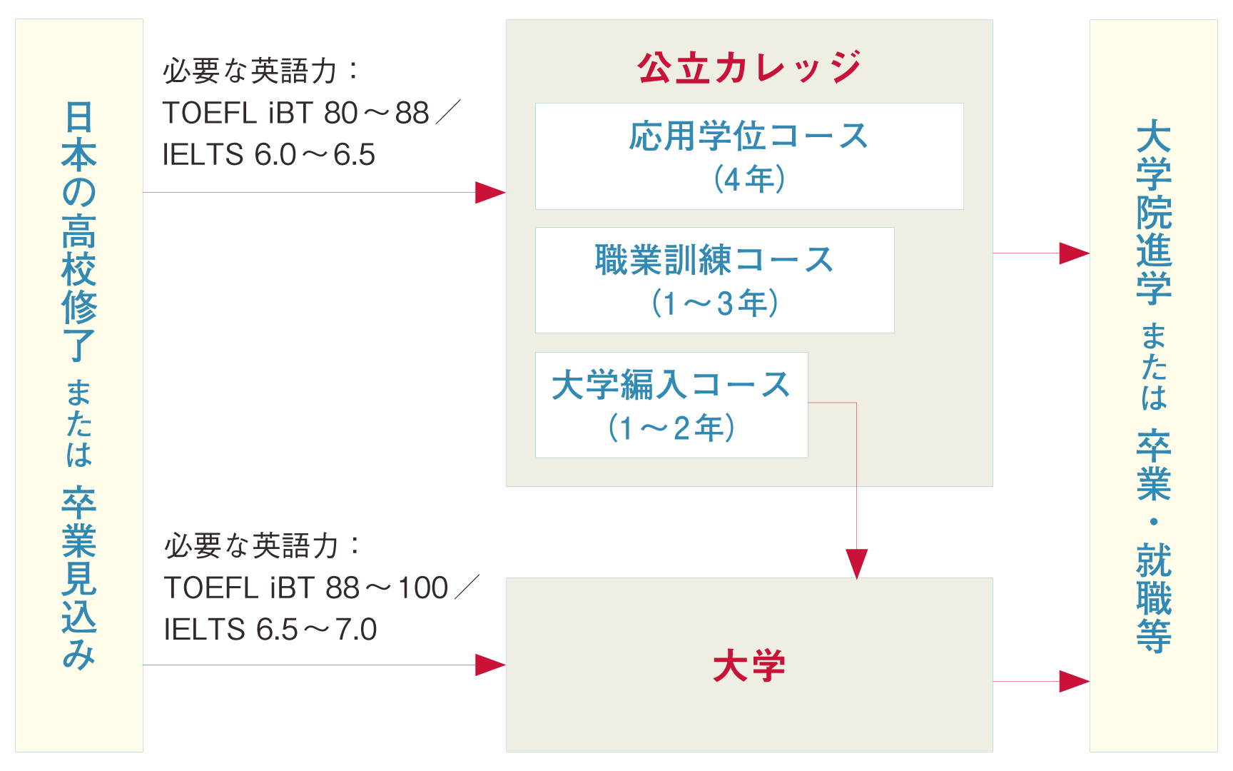 大学・カレッジで学ぶ