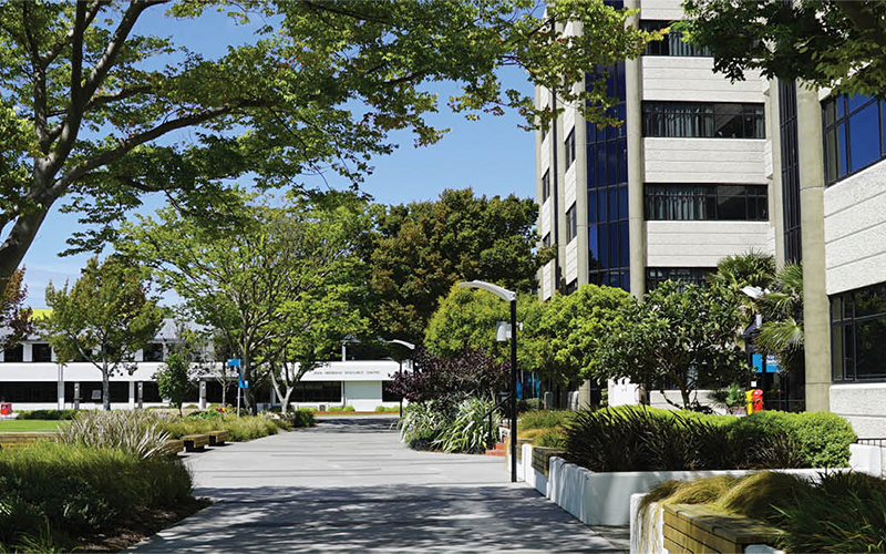 Ara Institute of Canterbury クライストチャーチ国立工科大学